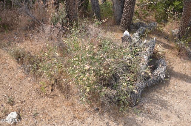 Vic Avenue 24 Longview, Juniper Hills, CA 93543