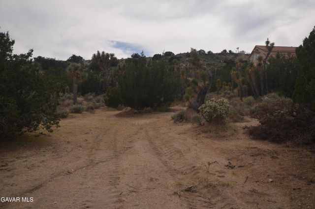 Vic Avenue 24 Longview, Juniper Hills, CA 93543