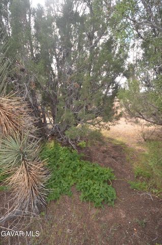 Vic Avenue 24 Longview, Juniper Hills, CA 93543