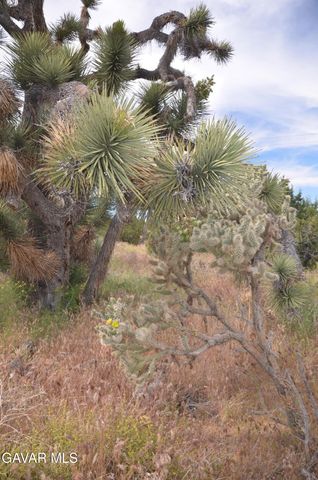 Vic Avenue 24 Longview, Juniper Hills, CA 93543
