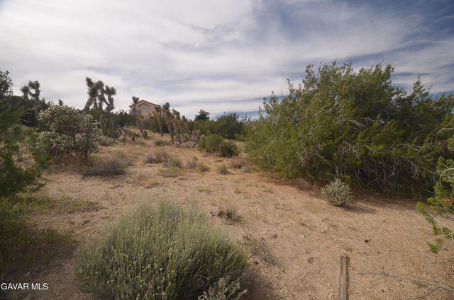 Vic Avenue 24 Longview, Juniper Hills, CA 93543