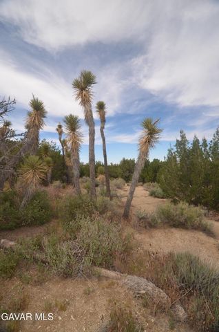 Vic Avenue 24 Longview, Juniper Hills, CA 93543