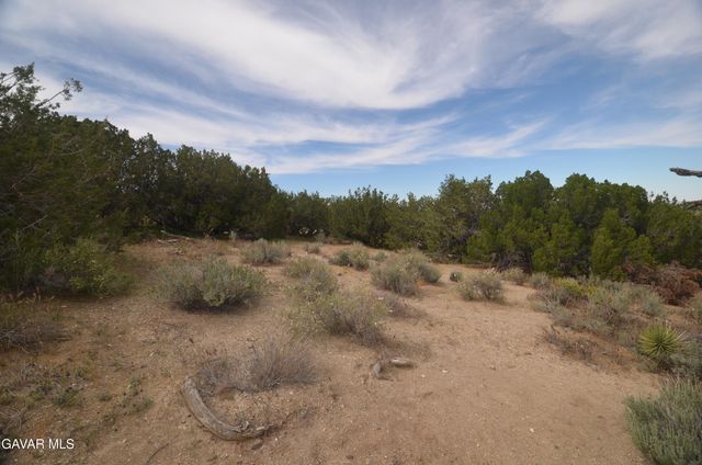 Vic Avenue 24 Longview, Juniper Hills, CA 93543