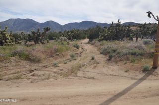Vic Avenue 24 Longview, Juniper Hills, CA 93543