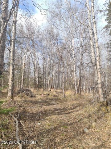 6400 N Weltin Way, Palmer, AK 99645