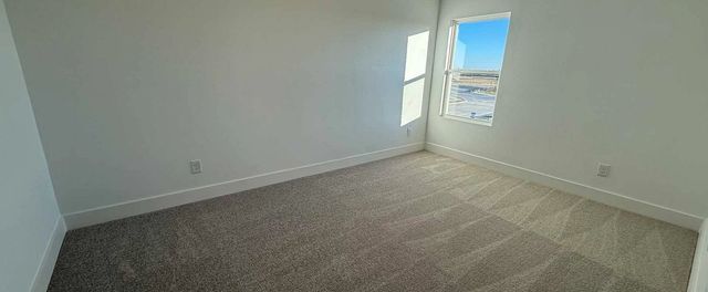 2507 Daisy Lane, Melissa, TX 75454