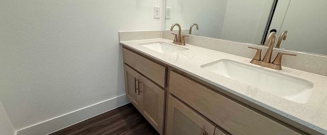 2507 Daisy Lane, Melissa, TX 75454