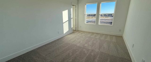 2507 Daisy Lane, Melissa, TX 75454