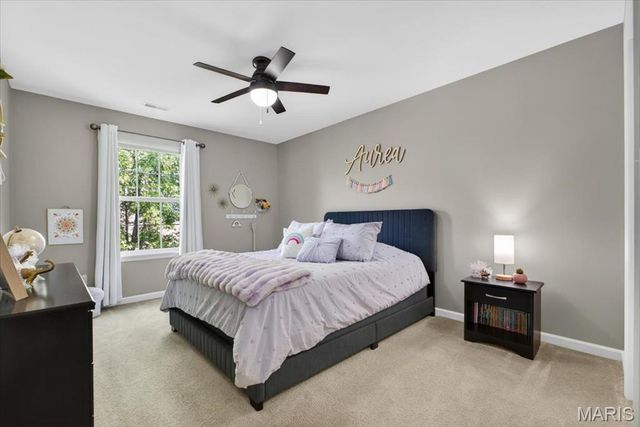 9732 Wilderness Battle Circle, St Louis, MO 63123