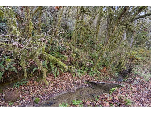 19237 ALSEA Hwy, Alsea, OR 97324