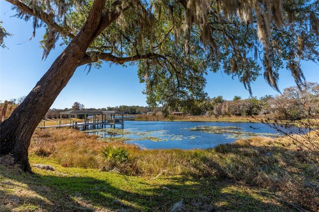 606 E 6TH AVENUE, Windermere, FL 34786