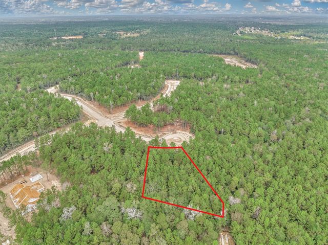 25017 Chisos Bend, Montgomery, TX 77316