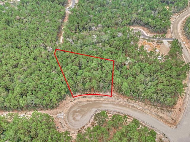 25017 Chisos Bend, Montgomery, TX 77316