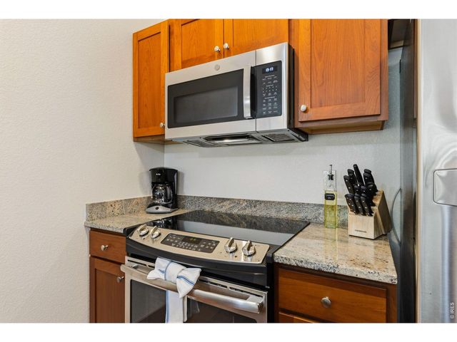 199 Twin Owls Ln H-1, Estes Park, CO 80517