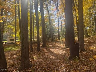 Infirmary Road, Mantua, OH 44255