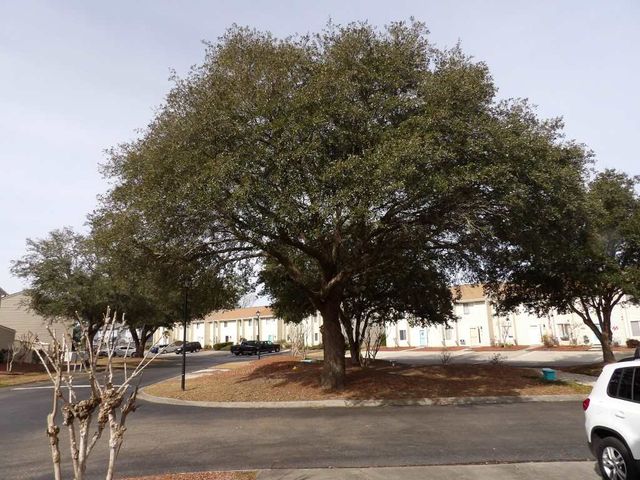 951 Plantation Dr Unit A1, Little River, SC 29566