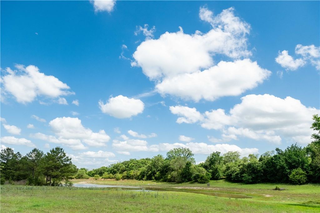 2199 Navasota Ridge (Pvt), Navasota, TX 77868 — photo 3
