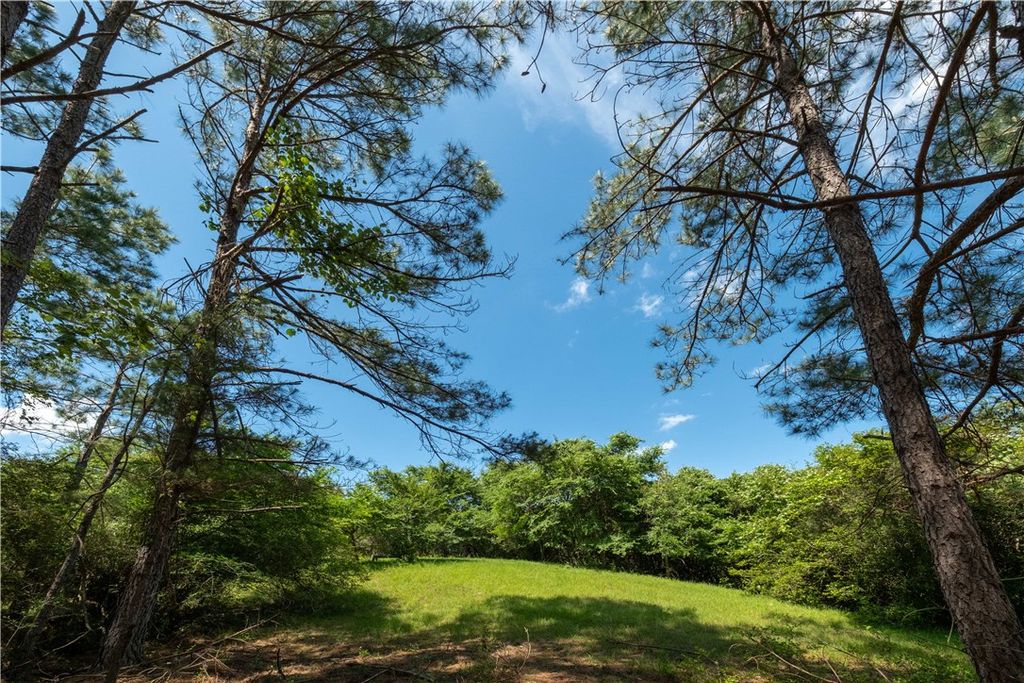 2199 Navasota Ridge (Pvt), Navasota, TX 77868 — photo 4