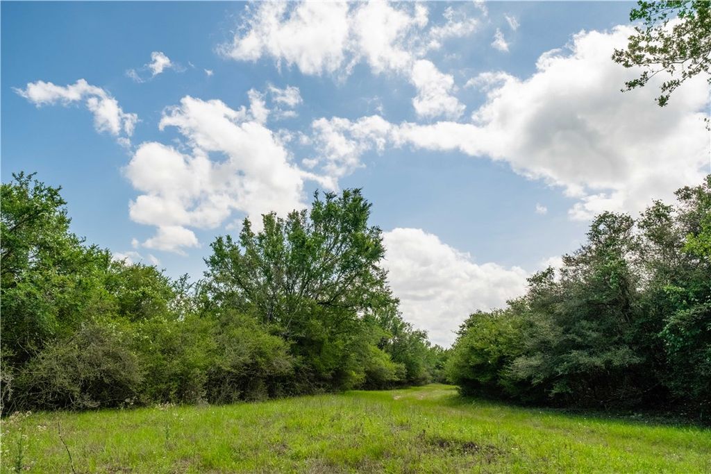 2199 Navasota Ridge (Pvt), Navasota, TX 77868 — photo 5