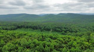 0 Hwy 151, Ringgold, GA 30736