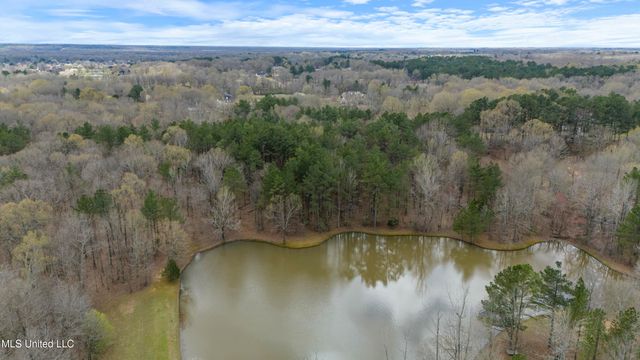 12965 Whispering Pines Drive, Olive Branch, MS 38654
