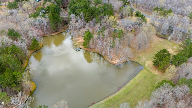 12965 Whispering Pines Drive, Olive Branch, MS 38654