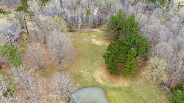 12965 Whispering Pines Drive, Olive Branch, MS 38654