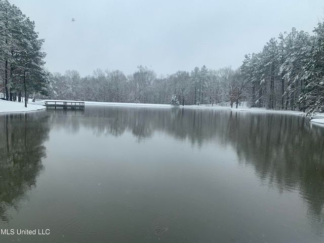 12965 Whispering Pines Drive, Olive Branch, MS 38654