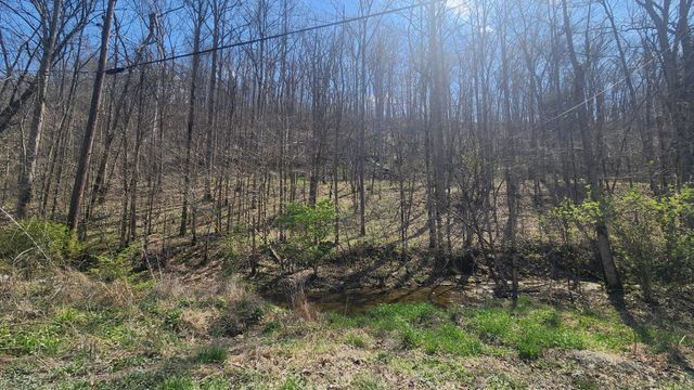 0 Phillips Hollow Rd, Westmoreland, TN 37186