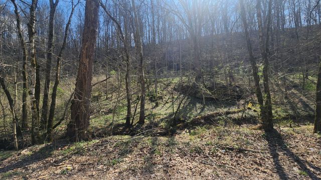 0 Phillips Hollow Rd, Westmoreland, TN 37186