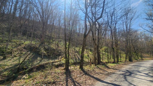 0 Phillips Hollow Rd, Westmoreland, TN 37186