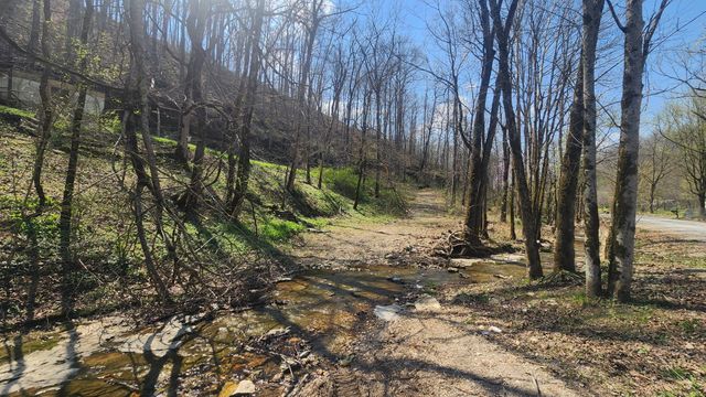 0 Phillips Hollow Rd, Westmoreland, TN 37186