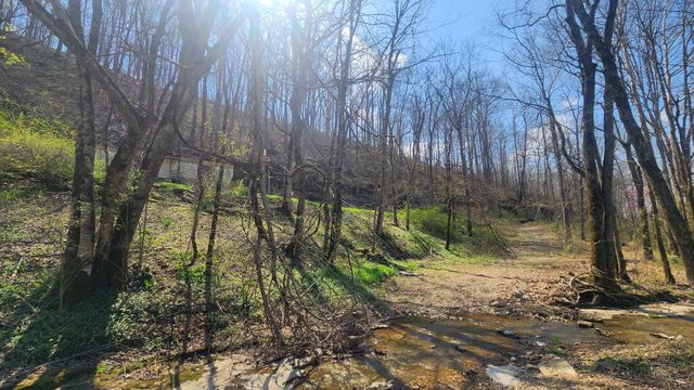 0 Phillips Hollow Rd, Westmoreland, TN 37186