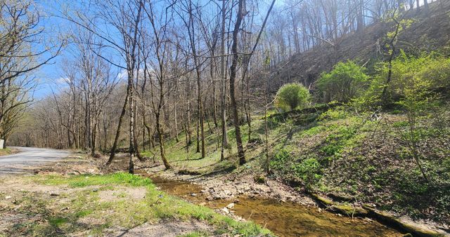 0 Phillips Hollow Rd, Westmoreland, TN 37186