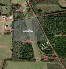 Tract One Pilot Grove Road, Whitewright, TX 75491