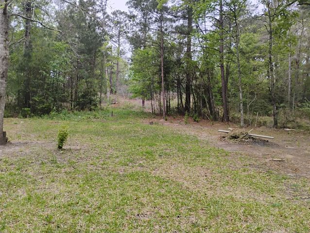 101 Rocky Lane, Livingston, TX 77351