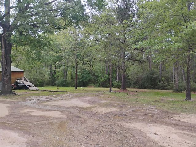 101 Rocky Lane, Livingston, TX 77351