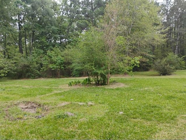 101 Rocky Lane, Livingston, TX 77351