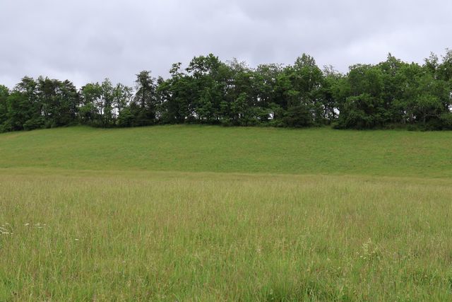 4135 Big Andy Ridge Road Tract 6, Rogers, KY 41365