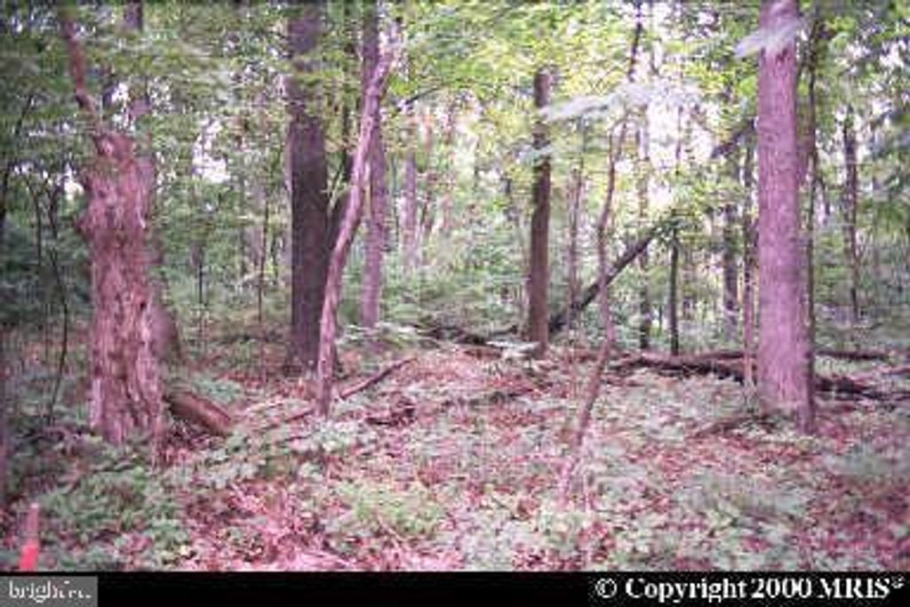 STEAMBOAT RUN ROAD, Shepherdstown, WV 25443