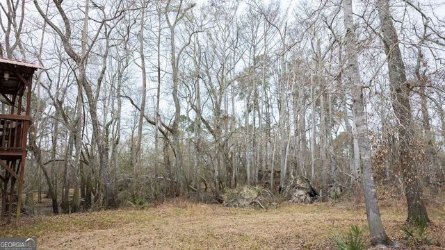 5230 Coleman Bridge SPUR, Cobbtown, GA 30420