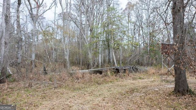 5230 Coleman Bridge SPUR, Cobbtown, GA 30420