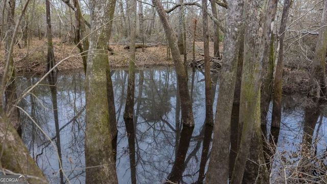 5230 Coleman Bridge SPUR, Cobbtown, GA 30420