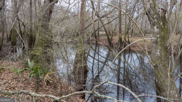 5230 Coleman Bridge SPUR, Cobbtown, GA 30420