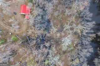 5230 Coleman Bridge SPUR, Cobbtown, GA 30420