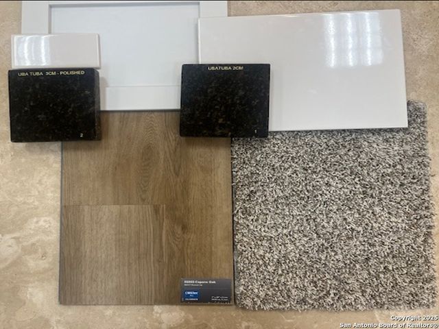 10303 Apple Pie Road, San Antonio, TX 78224