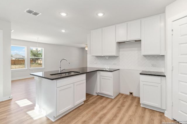 10303 Apple Pie Road, San Antonio, TX 78224