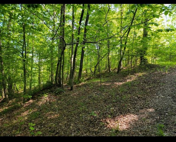 0 Shetland trace, Sparta, TN 38583
