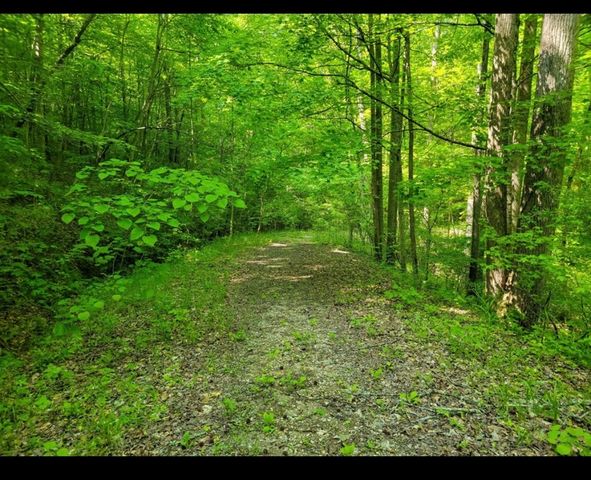 0 Shetland trace, Sparta, TN 38583