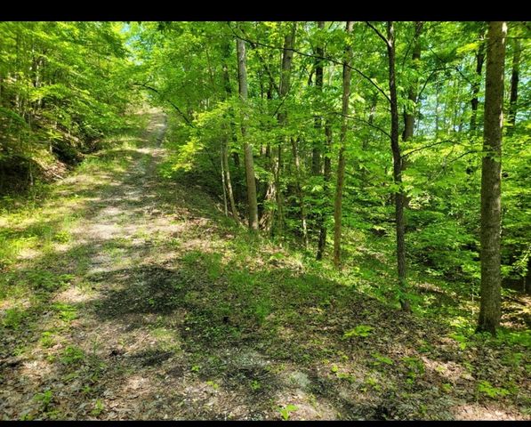0 Shetland trace, Sparta, TN 38583